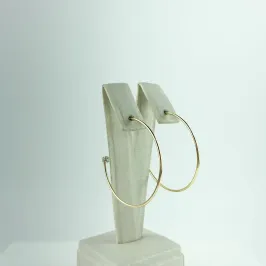 Brinco Argola Lisa e Ponto de Luz Folheado a Ouro 18k