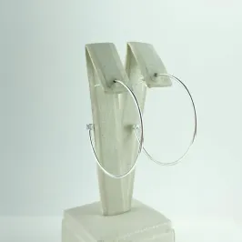 Brinco Argola Lisa e Ponto de Luz Folheado em Prata