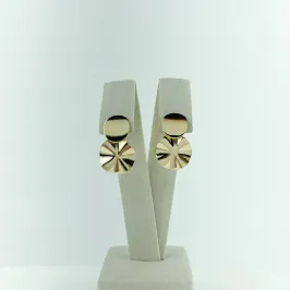 Brinco Orgânico Redondo Martelado Folheado a Ouro 18k