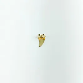 Tarraxa Ear Cuff Folheada a Ouro 18k