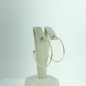 Brinco Argola Lisa e Ponto de Luz Folheado a Ouro 18k