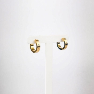 Brinco Argola em Zircônias Aço Inox 316L na Cor Dourada