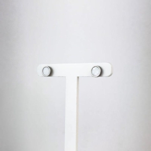 Brinco Círculo Branco Aço Inox 316L na Cor Prata