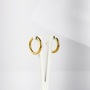 Brinco Argola Lisa  em Aço Inox 316L na Cor Dourada