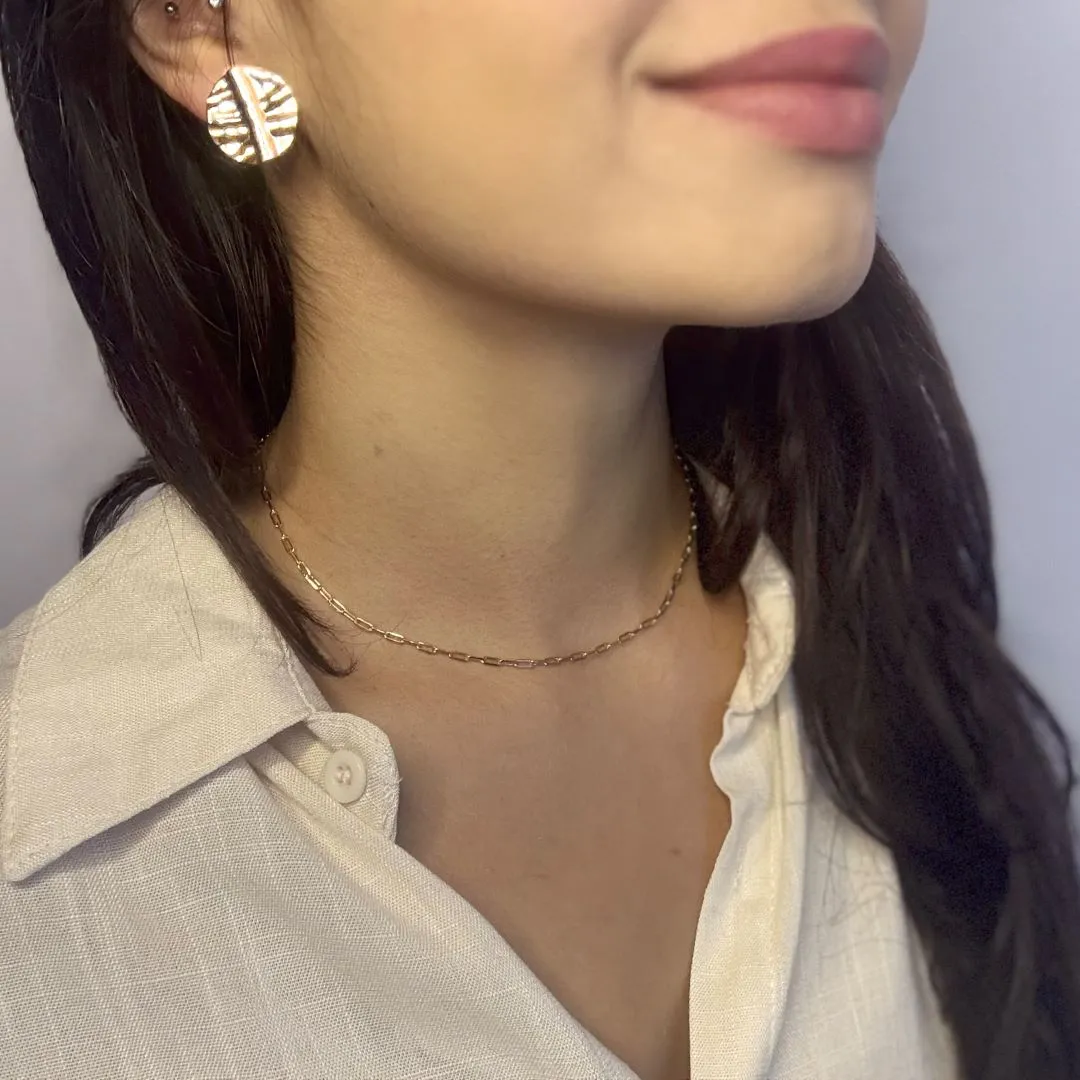 Brinco Dois Círculos em Relevo Folheado a Ouro 18k